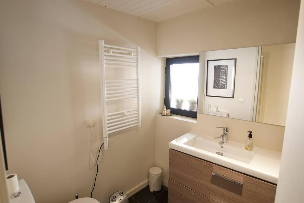 Apartament Central Amb Terrassa Alp Exterior foto